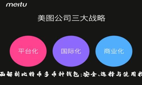 全面解析比特币多币种钱包：安全、选择与使用指南