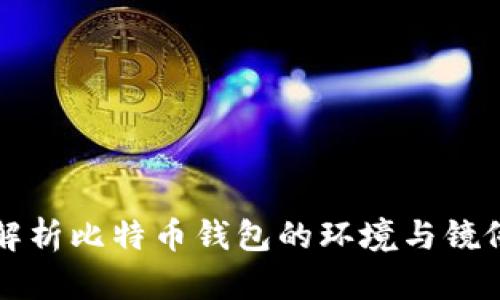 全面解析比特币钱包的环境与镜像技术