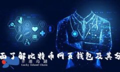 全面了解比特币网页钱包