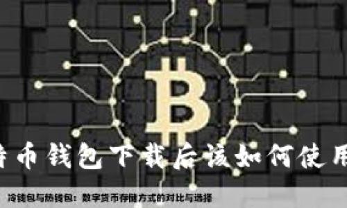 标题: 比特币钱包下载后该如何使用：新手指南