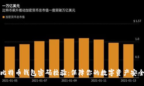 比特币钱包密码校验：保障你的数字资产安全