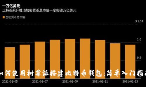 如何使用树莓派搭建比特币钱包：简单入门指南