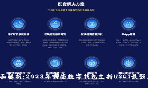 全面解析：2023年哪些数字钱包支持USDT最强大？