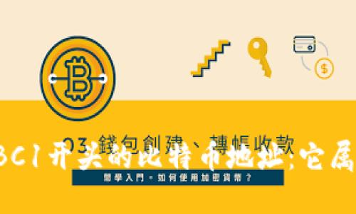 ### 揭秘BC1开头的比特币地址：它属于什么钱包？