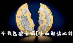 比特币电子钱包安全吗？全面解读比特币安全性