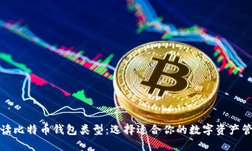 全面解读比特币钱包类型：选择适合你的数字资产管理工具