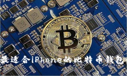 如何选择最适合iPhone的比特币钱包：全面指南