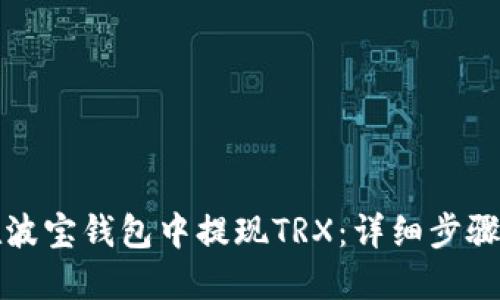 如何在波宝钱包中提现TRX：详细步骤与技巧