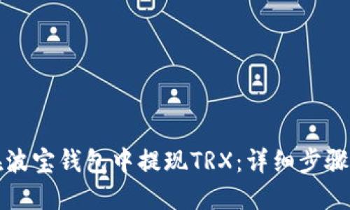 如何在波宝钱包中提现TRX：详细步骤与技巧