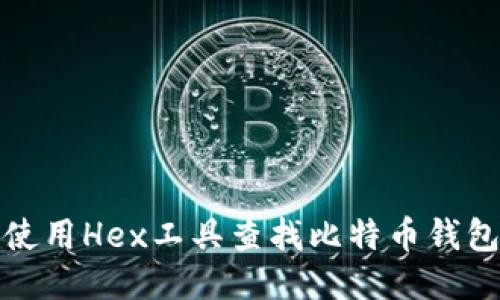 如何使用Hex工具查找比特币钱包文件