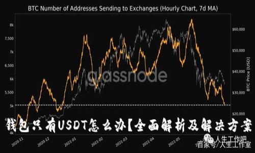 钱包只有USDT怎么办？全面解析及解决方案