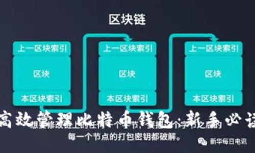 如何高效管理比特币钱包：新手必读指南