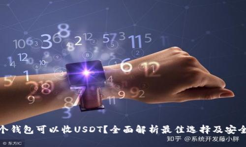 哪个钱包可以收USDT？全面解析最佳选择及安全性