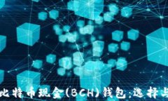 全面解析比特币现金(BCH