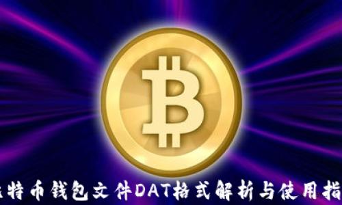 
比特币钱包文件DAT格式解析与使用指南