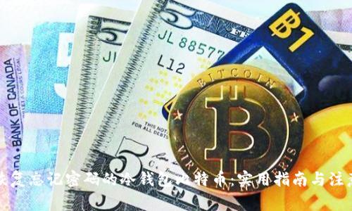 如何恢复忘记密码的冷钱包比特币：实用指南与注意事项