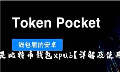 什么是比特币钱包xpub？详解及使用指南
