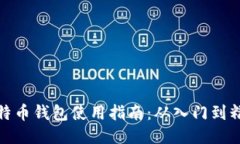 比特币钱包使用指南：从入门到精通