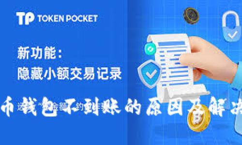 比特币钱包不到账的原因及解决方案