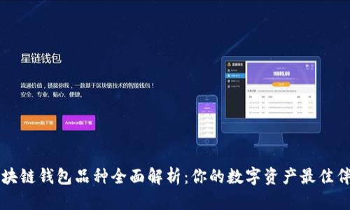 区块链钱包品种全面解析：你的数字资产最佳伴侣