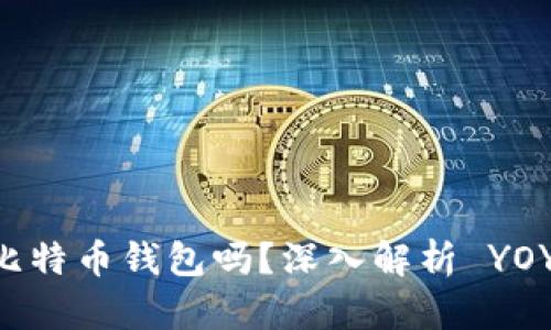 ### YOYOW 是比特币钱包吗？深入解析 YOYOW 的功能与特性