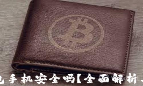 
比特币钱包手机安全吗？全面解析与安全建议