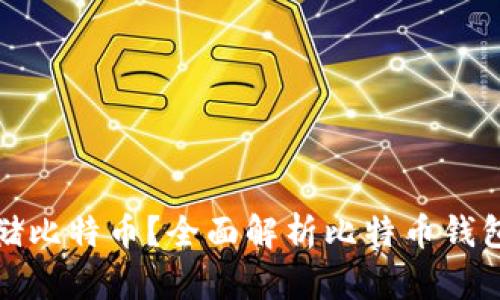 哪些钱包适合存储比特币？全面解析比特币钱包类型与选择指南