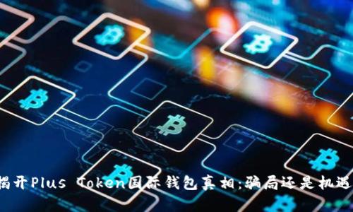 揭开Plus Token国际钱包真相：骗局还是机遇？