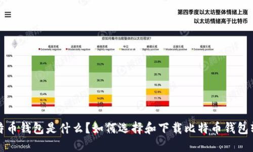 比特币钱包是什么？如何选择和下载比特币钱包软件