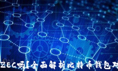 
比特币钱包支持ZEC吗？全面解析比特币钱包对ZEC的支持情况