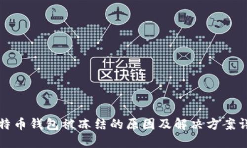 比特币钱包被冻结的原因及解决方案详解