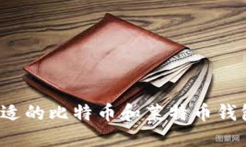 如何选择合适的比特币和莱特币钱包？全面指南