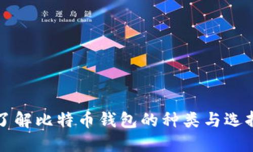 深入了解比特币钱包的种类与选择指南
