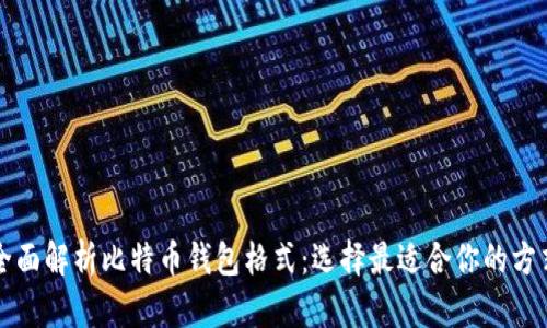 全面解析比特币钱包格式：选择最适合你的方式