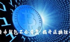 为什么比特币钱包不会重