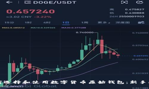 如何选择和使用数字货币原始钱包：新手指南