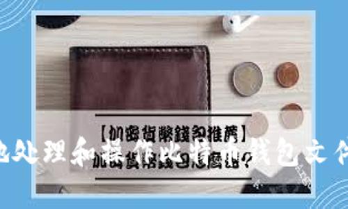 如何安全地处理和操作比特币钱包文件：完整指南