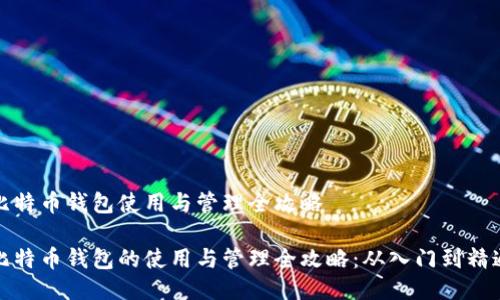 比特币钱包使用与管理全攻略

比特币钱包的使用与管理全攻略：从入门到精通