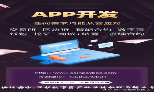 区块链安全：保护数字资产的关键挑战与解决方案