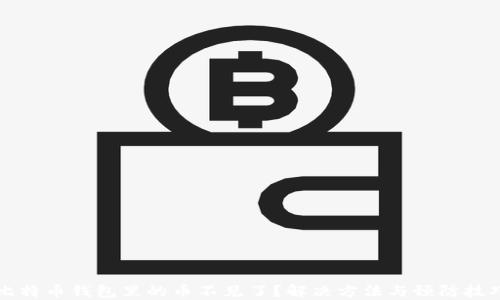
比特币钱包里的币不见了？解决方法与预防技巧