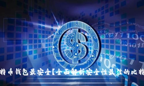 哪个比特币钱包最安全？全面解析安全性最佳的比特币钱包