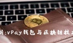深入分析：vPay钱包与区块