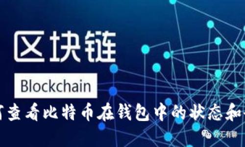 如何查看比特币在钱包中的状态和余额