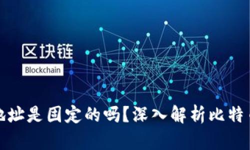 比特币钱包地址是固定的吗？深入解析比特币地址的特性