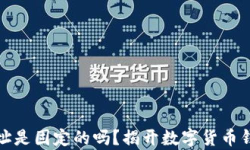 
泰达币钱包地址是固定的吗？揭开数字货币钱包的神秘面纱