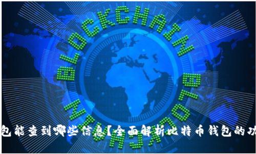 比特币钱包能查到哪些信息？全面解析比特币钱包的功能与特点
