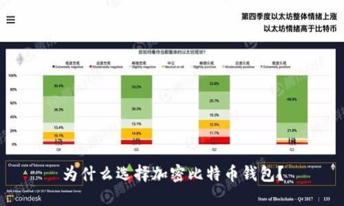 为什么选择加密比特币钱包？
