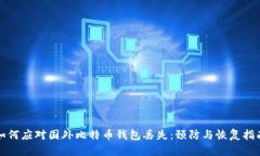 如何应对国外比特币钱包丢失：预防与恢复指南