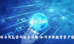 比特币钱包密码组合详解