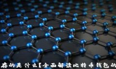 比特币钱包存的是什么？